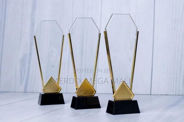Code 0393 Award
, Awards - main view
