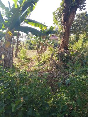 Makuyu Mananja - main view