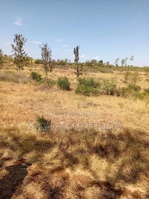 Kabati Flyover Land - main view