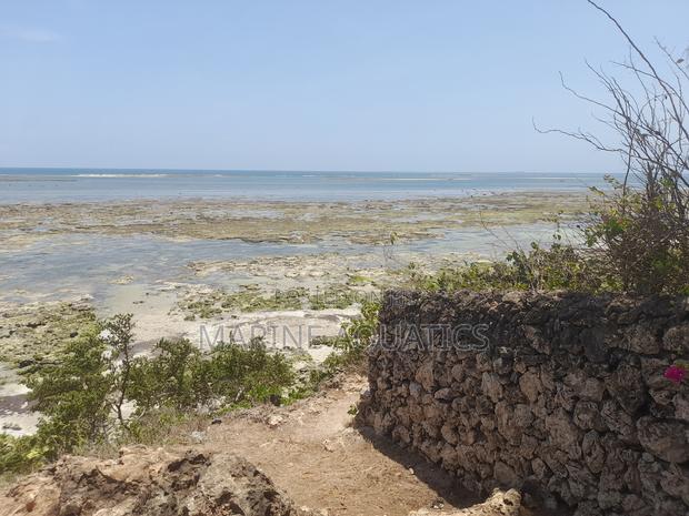 Prime Beachside Plot - thumbnail 5