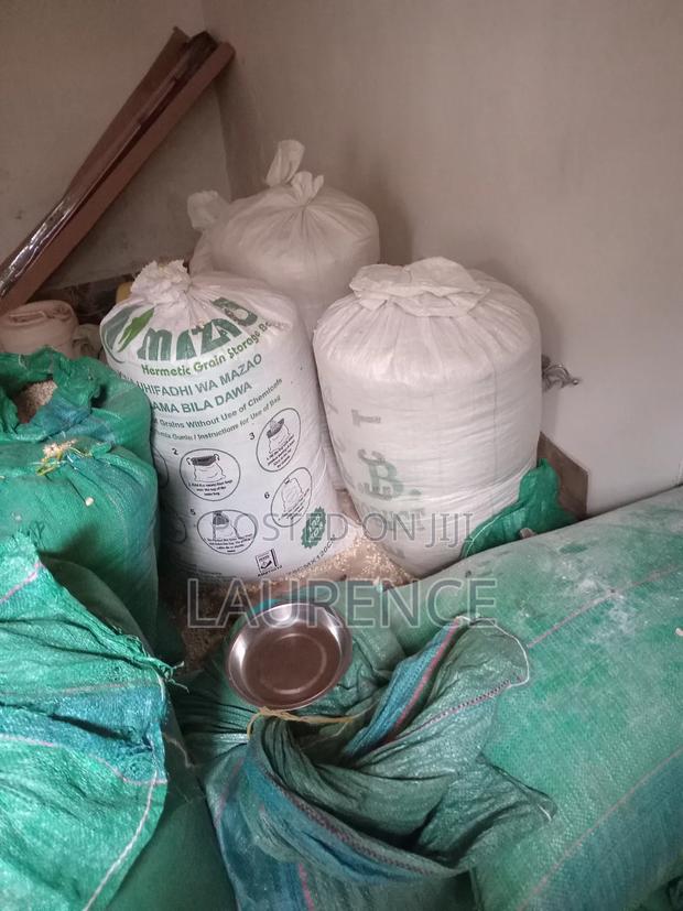 90kg Bags of Dry Maize - thumbnail 5