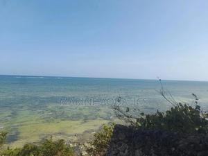 Prime Beachside Plot - thumbnail 2