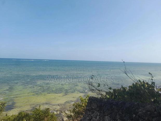 Prime Beachside Plot - main view