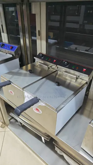 Electric Fryer