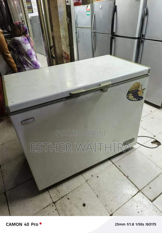 Ramtons Deep Freezer 300 Litres