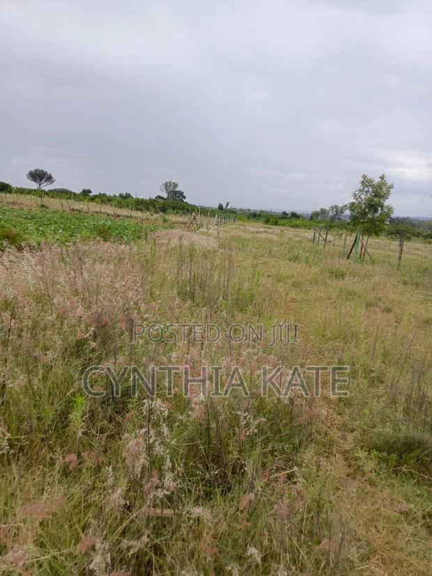 Plots for Sale Nyahururu - thumbnail 3
