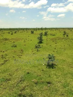 16 and Acre for Sale Karigoni Gobit