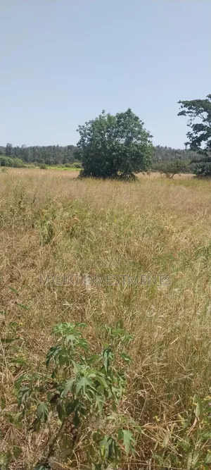5.5 Acres on Sale at Kambirwa