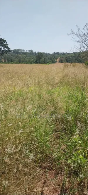 5.5 Acres on Sale at Kambirwa