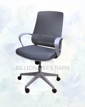 Breathable Mesh Office Chair • Workday Comfort, Lower-Back Support