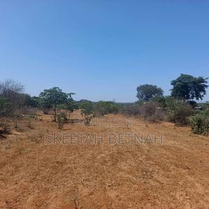 Plots for Sale in Matuu - thumbnail 2