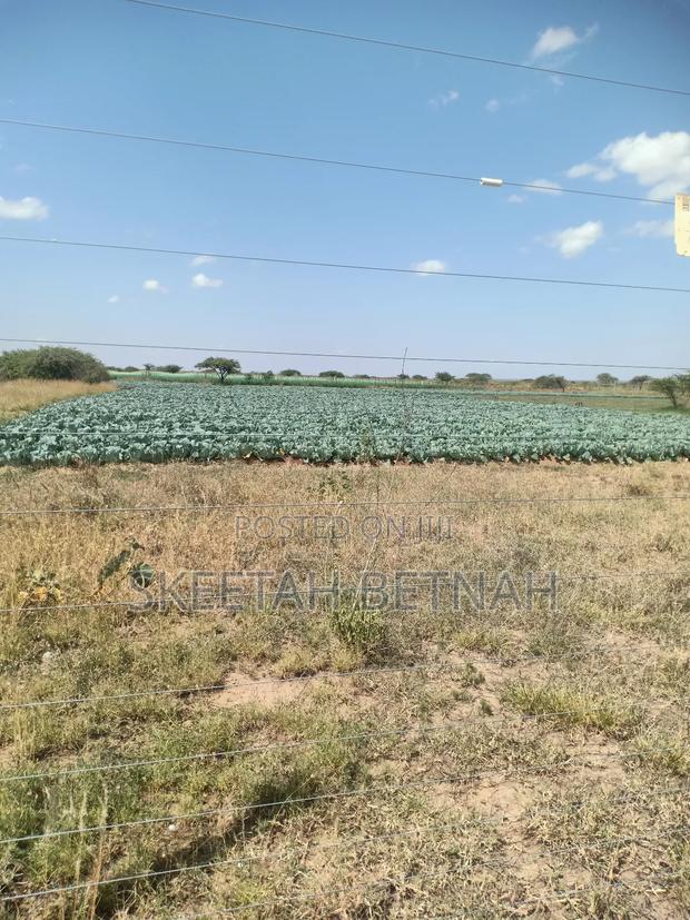 Plots for Sale in Matuu - thumbnail 5