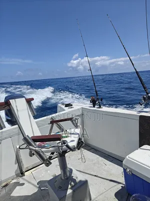 Boat With 115hp 4 Strock Engine