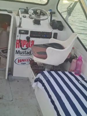 Boat With 115hp 4 Strock Engine