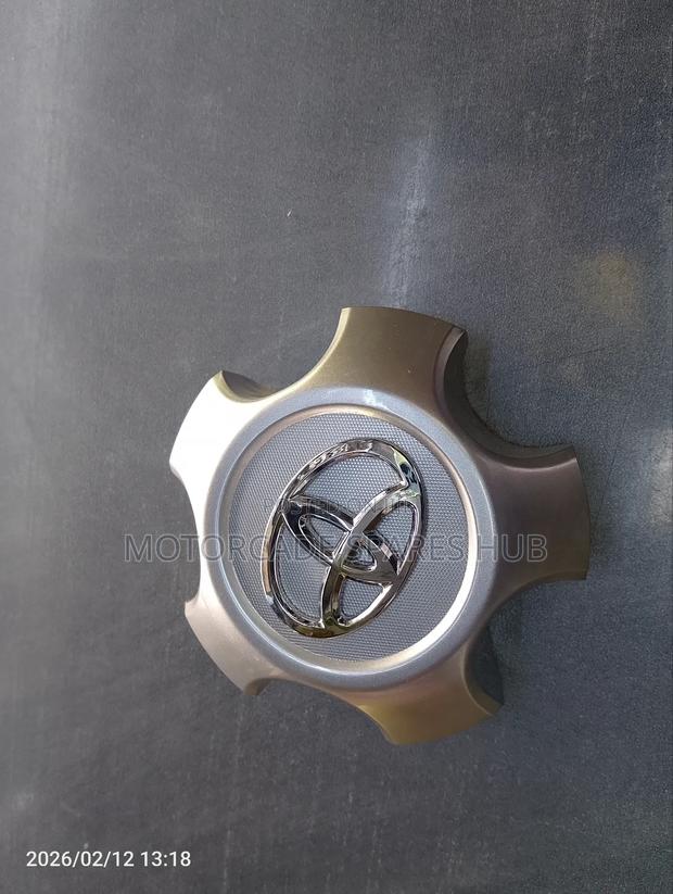 Toyota Rav4 2008/2009 Wheel Rim Cap