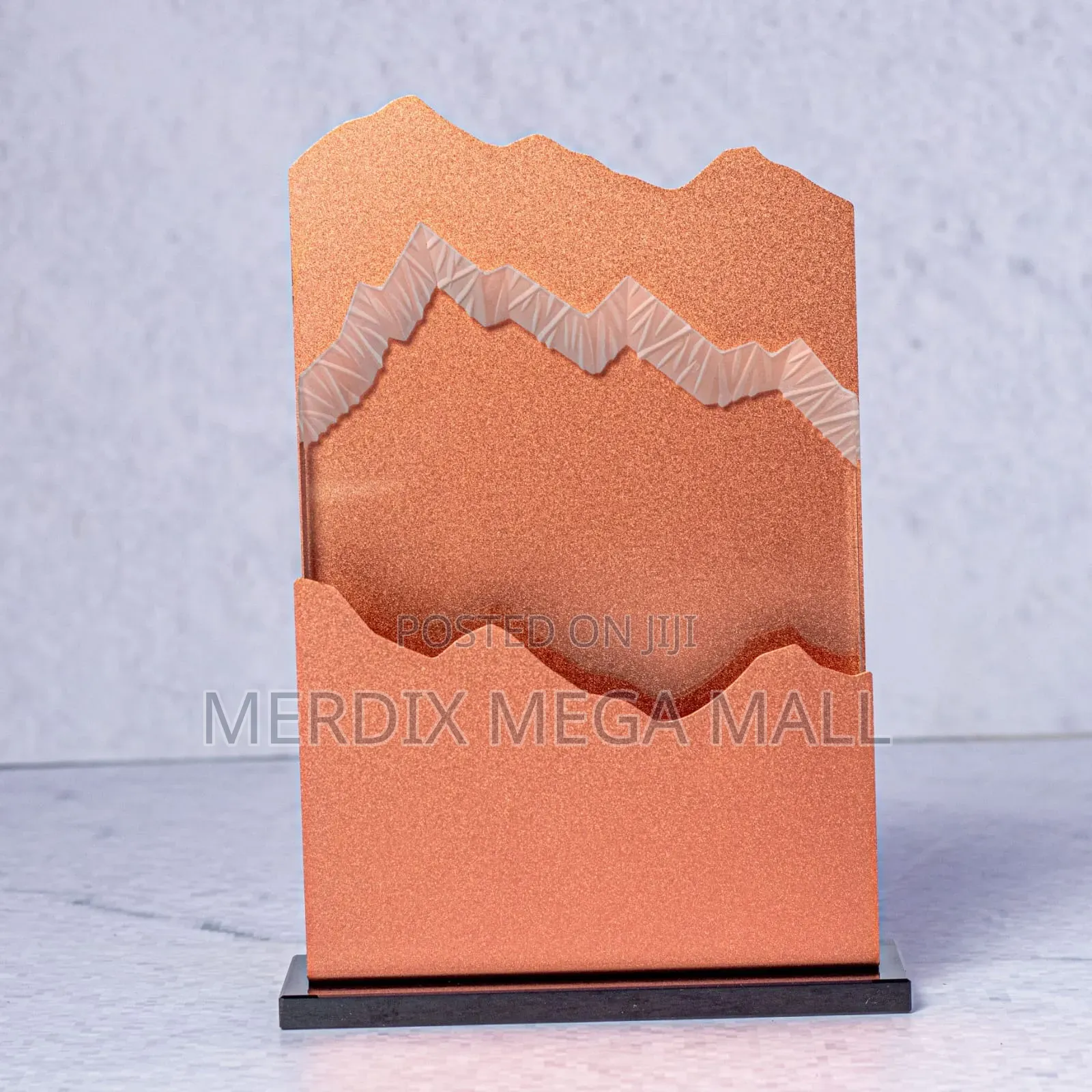 Mountain Climber Award, Awards