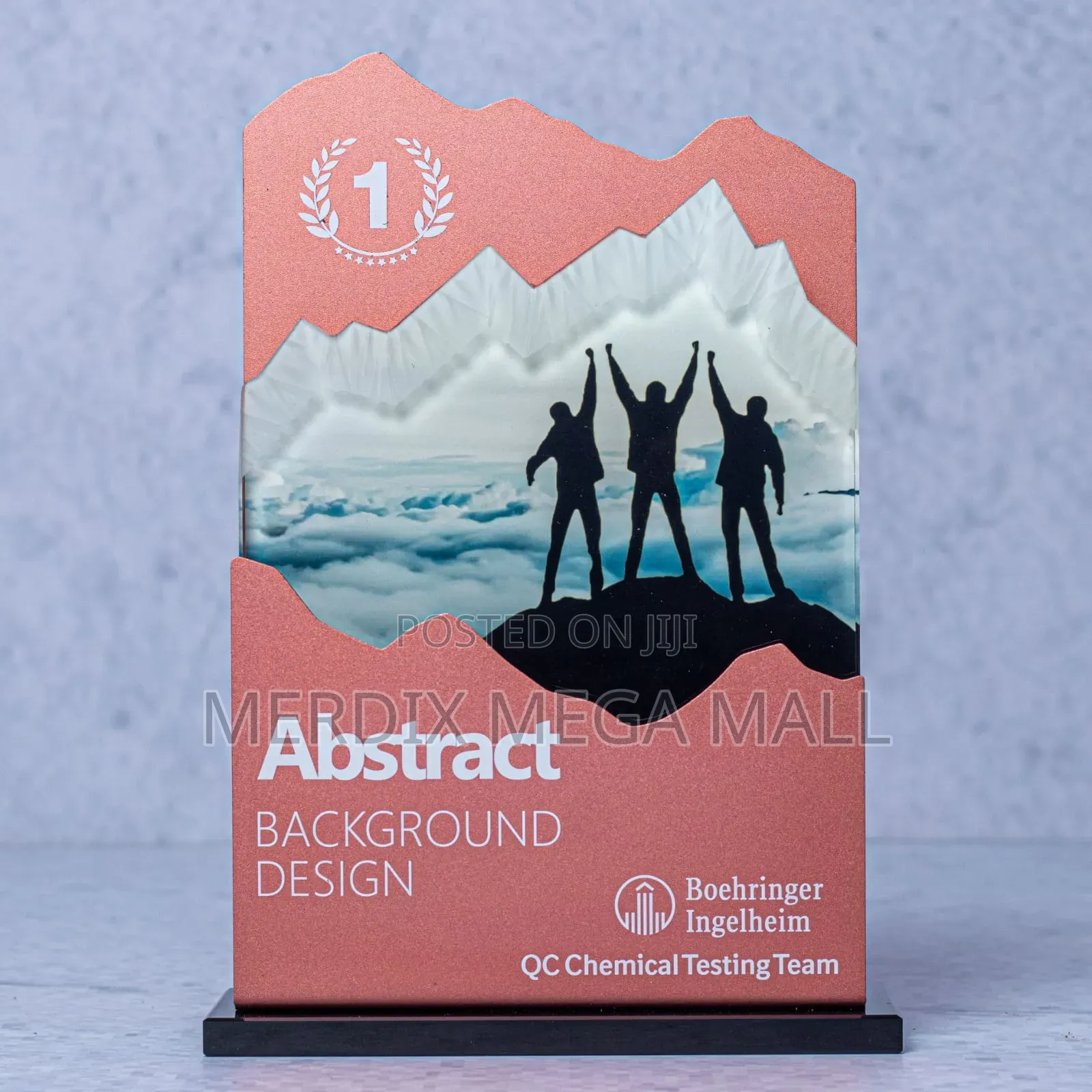 Mountain Climber Award, Awards