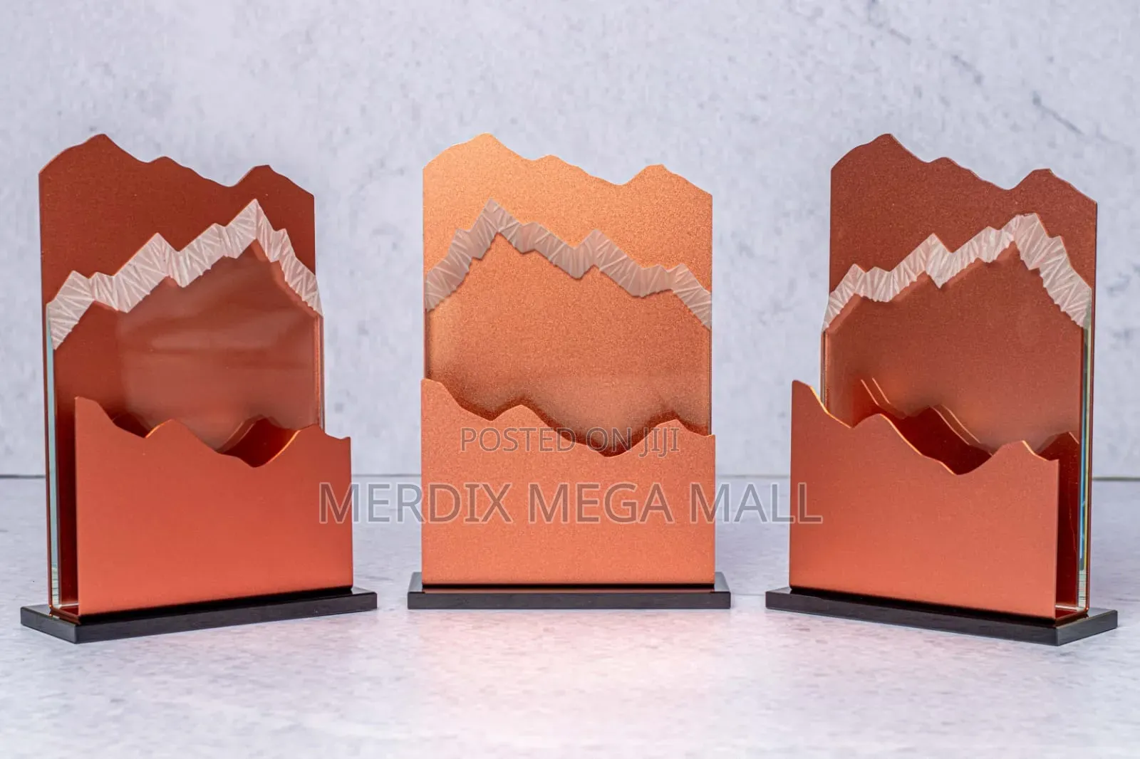 Mountain Climber Award, Awards