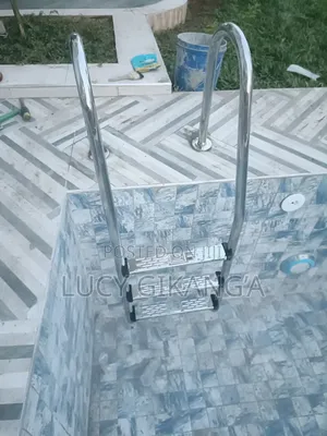 Stainless Steel Pool Ladder