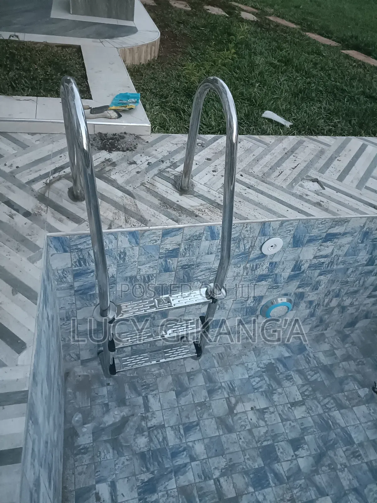 Stainless Steel Pool Ladder