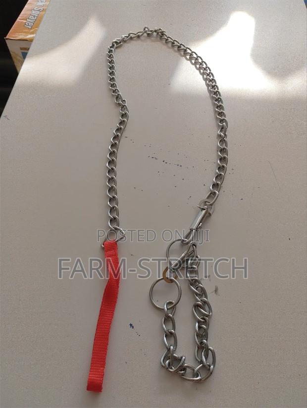 Small Dog Leash and Color - main view