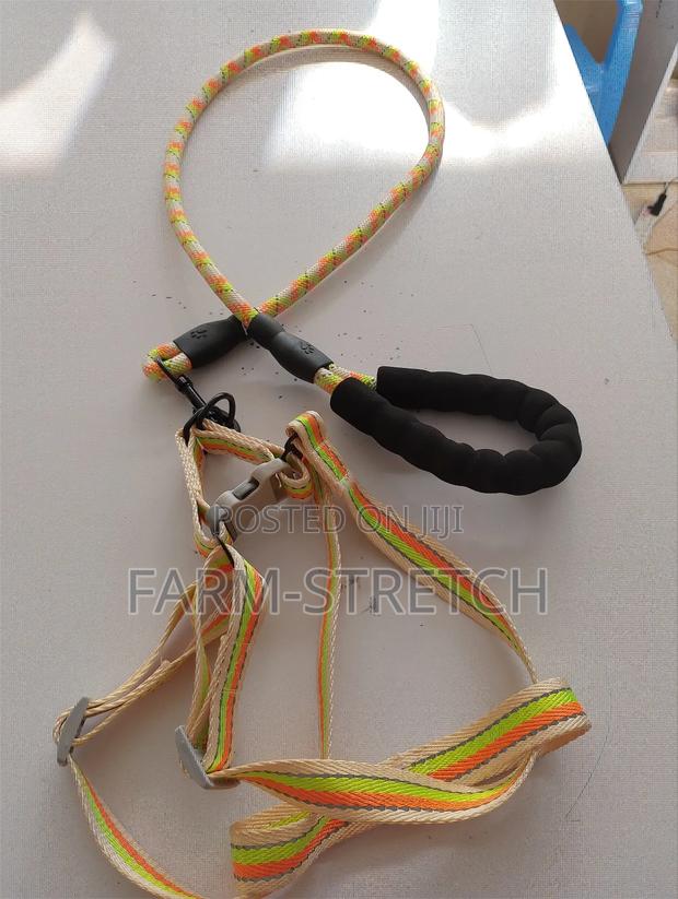 Medium Size Dog Leash and Harness - main view