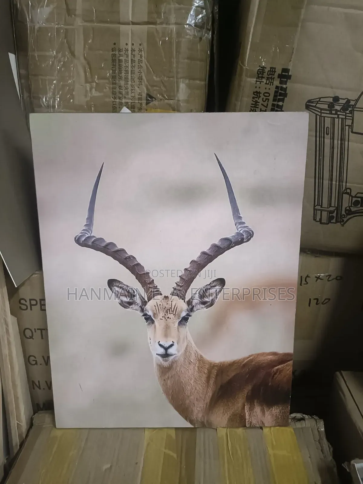 Art Frames And Mounting Board
