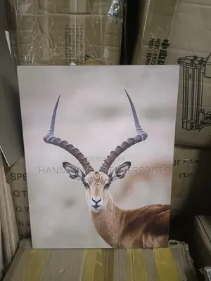 Art Frames And Mounting Board