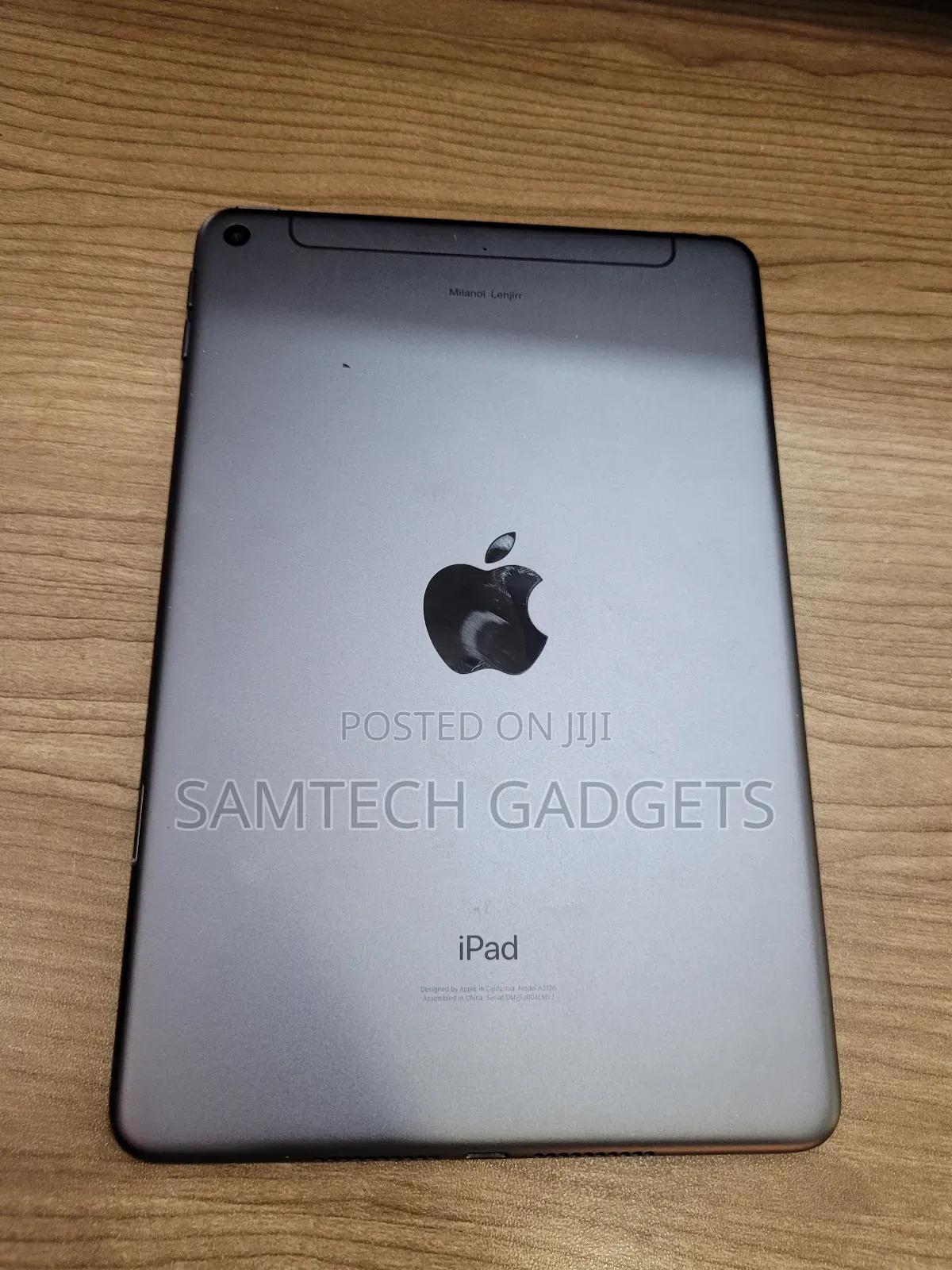 Apple iPad mini Wi-Fi + Cellular 256 GB Gray
