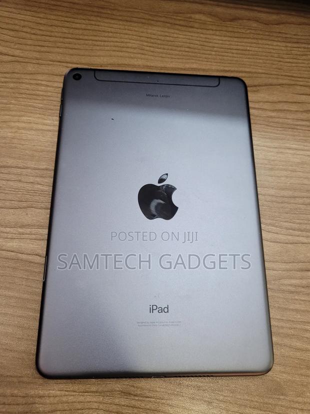 Apple iPad mini Wi-Fi + Cellular 256 GB Gray - main view