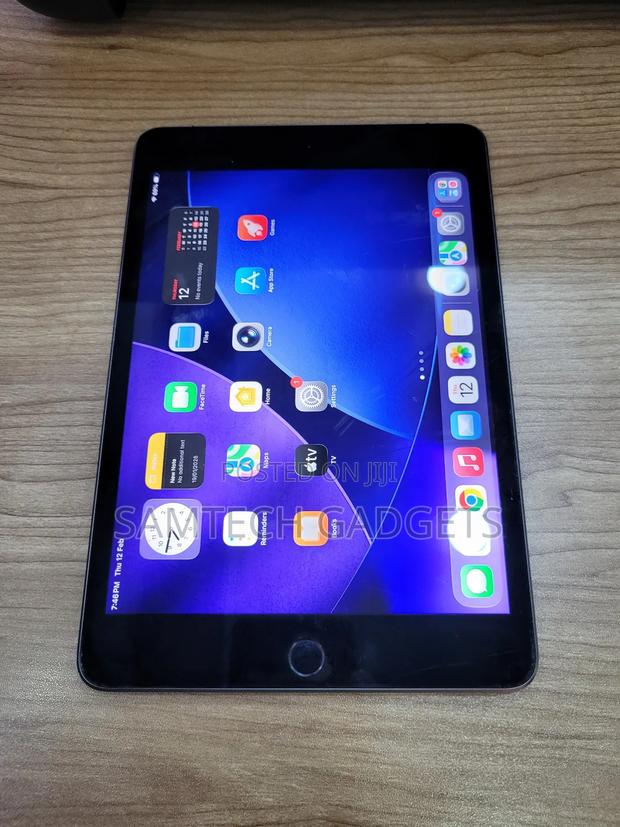 Apple iPad mini Wi-Fi + Cellular 256 GB Gray - thumbnail 2