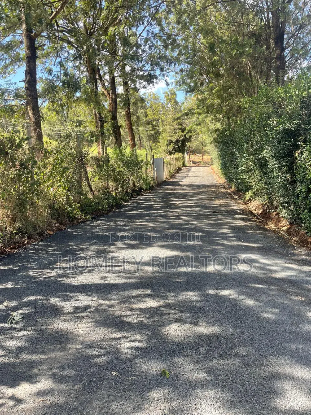 Quarter Acre Plot for Sale in Kerarapon Drive. Red Soil. Nice Views