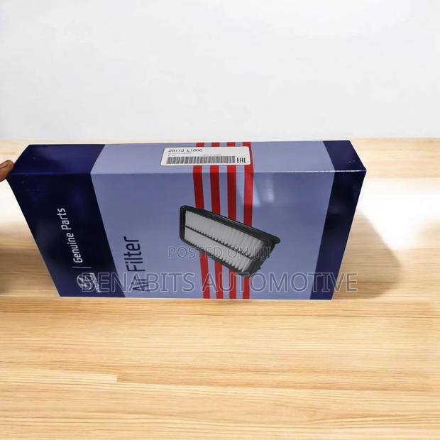 Hyundai Kia L1000 Air Cleaner