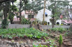 1/2acre Redevelopment Site - thumbnail 2