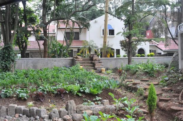 1/2acre Redevelopment Site - thumbnail 3