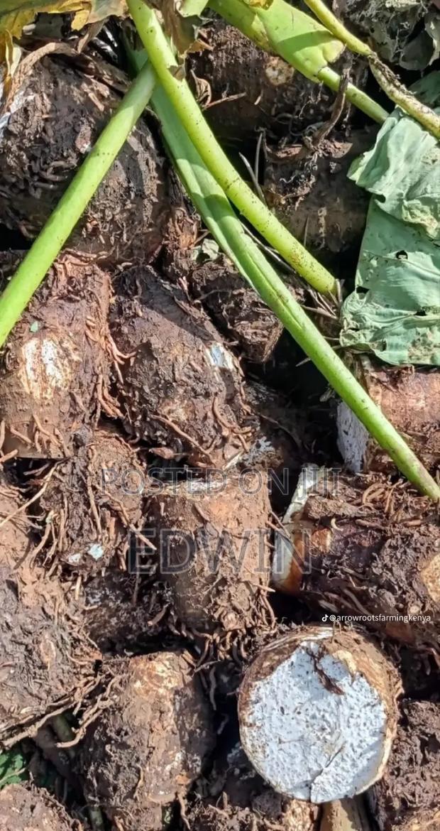 Fresh Nduma - main view