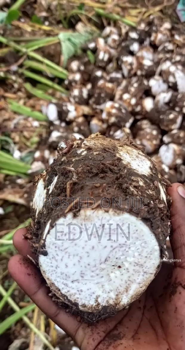 Fresh Nduma - thumbnail 6