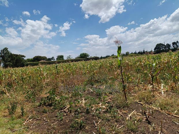 50 X 100 Plots in Kiamunyi - thumbnail 2