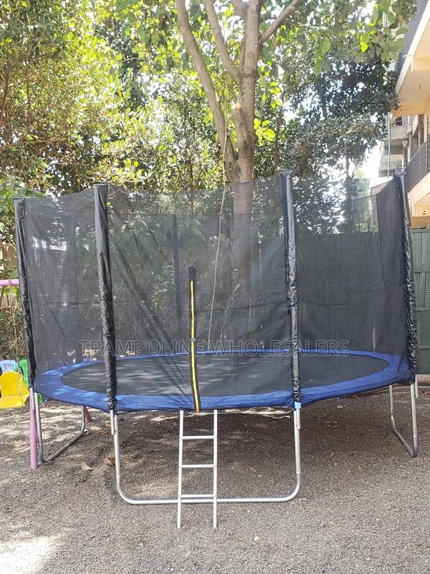 Trampoline Fun Starts - main view