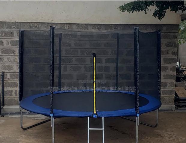 Fun Times With Trampoline. - main view