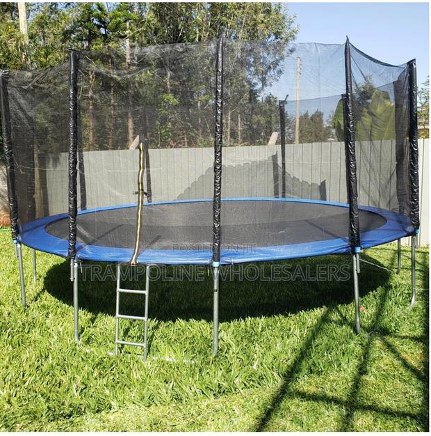 Happiness Is Trampoline Time. - main view