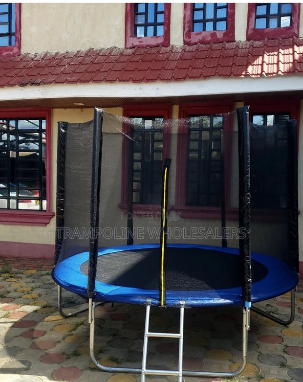 Trampoline Dreams Come True. - main view