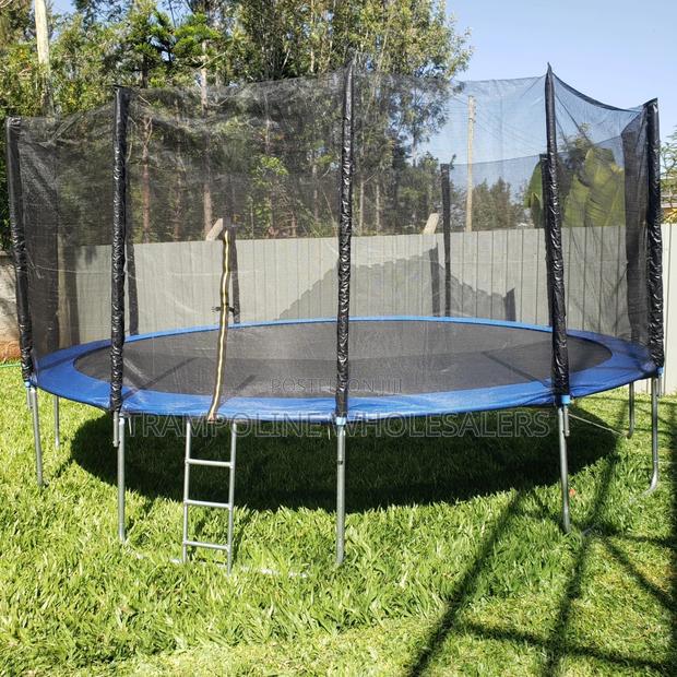 Trampoline Fun Never Ends. - main view