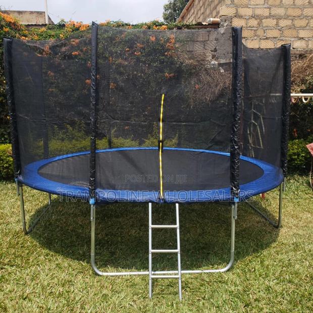 Bounce Into Trampoline Life - main view