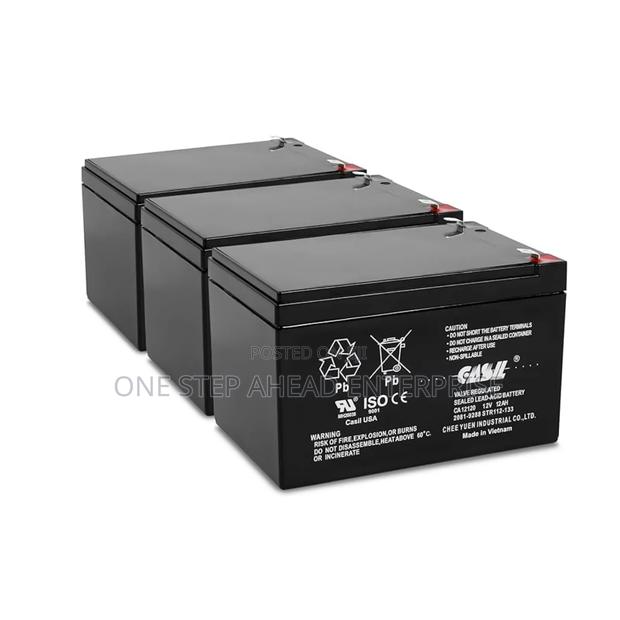 Car Battery for Electric Toy Cars 12v Rechargeable