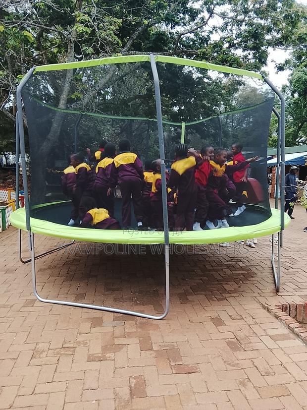 Trampoline Thrills for Everyone - main view