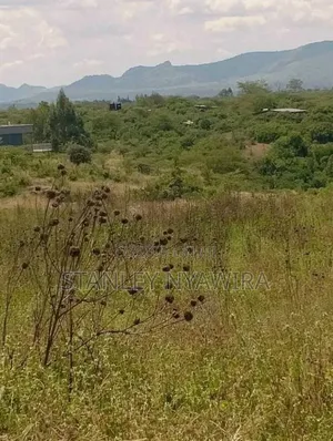 2 and Quarter Acre for Sale Nanyuki
