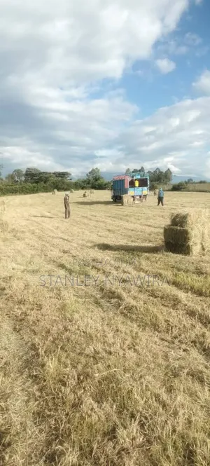 4 Acreas Nanyuki Sweet Water