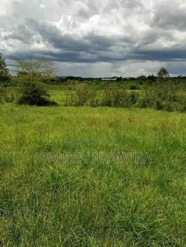 4 Acreas Nanyuki Sweet Water - thumbnail 4
