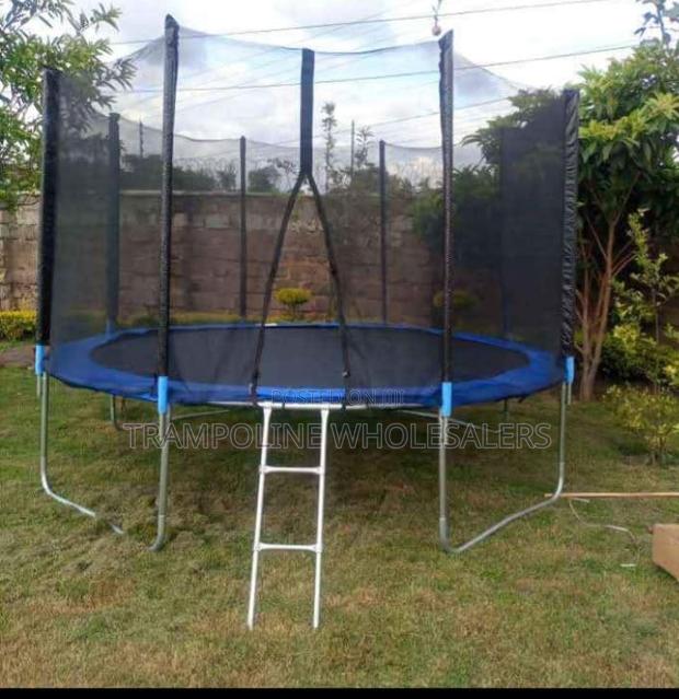 Trampoline Fun for Everyone. - main view